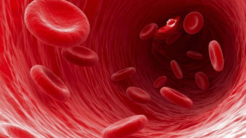 Низкий гемоглобин: причины и последствия у женщин