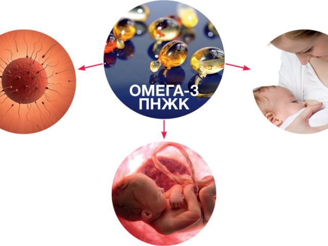 Омега-3 — полиненасыщенные жирные кислоты при беременности: для чего нужны? Как принимать Омега-3 для мужчин и женщин при планировании беременности?